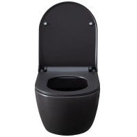Подвесной унитаз Allen Brau Priority 4.31001.AN 36 x 54 см, безободковый, антрацит