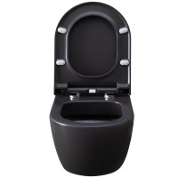 Подвесной унитаз Allen Brau Priority 4.31001.AN 36 x 54 см, безободковый, антрацит