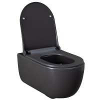Подвесной унитаз Allen Brau Priority 4.31001.AN 36 x 54 см, безободковый, антрацит