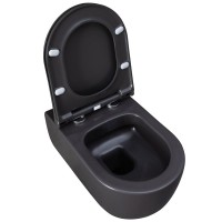 Подвесной унитаз Allen Brau Priority 4.31001.AN 36 x 54 см, безободковый, антрацит
