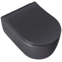 Подвесной унитаз Allen Brau Priority 4.31002.AN 2 36 x 49 см, безободковый, антрацит