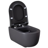 Подвесной унитаз Allen Brau Priority 4.31002.AN 2 36 x 49 см, безободковый, антрацит