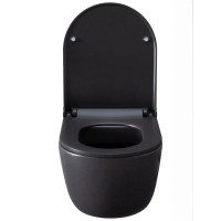 Подвесной унитаз Allen Brau Priority 4.31002.AN 2 36 x 49 см, безободковый, антрацит