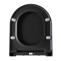 Крышка-сиденье Allen Brau Priority 4.31004.AN для унитаза, микролифт, антрацит
