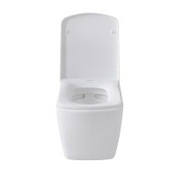 Подвесной унитаз Allen Brau Liberty 4.33004.20 безободковый, белый