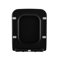 Крышка-сиденье Allen Brau Liberty 4.33008.31 для унитаза, микролифт, цвет черный матовый