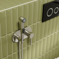 Гигиенический душ WasserKRAFT Wern, 4238, со смесителем, никель