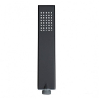 Душевая лейка Allen Brau Infinity 5.21022-31, 1 режим, черный матовый