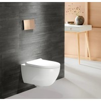 Подвесной унитаз Geberit Acanto 502.718.00.1, безободковый, сиденье микролифт, цвет белый