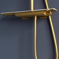 Душевая система RGW Shower Panels 51140134-06 SP-34G, термостатическая, цвет золото