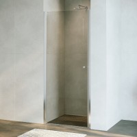 Душевая дверь RGW Dolphin TN-03, 54930309-11, 90 см, стекло прозрачное, профиль хром
