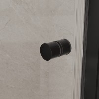 Душевая дверь RGW Dolphin TN-03B, 54930309-14, 90 см, стекло прозрачное, профиль черный