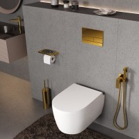 Инсталляция для унитаза WasserKraft Vils 56TLT.010.ME.PG04, механическая клавиша золото глянцевое