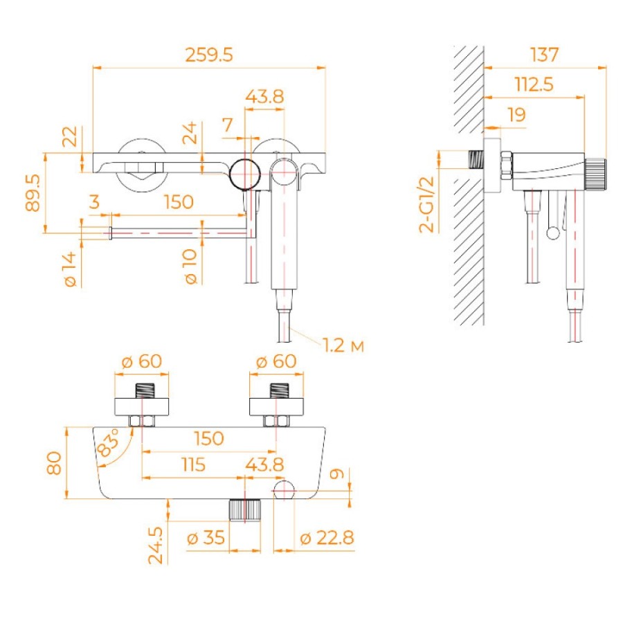 Гигиенический душ RGW Shower Panels 581408220-04, со смесителем, черный