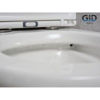 Подвесной унитаз Gid Concavo Tr2101 62232Y, безободковый, с сиденьем микролифт, белый