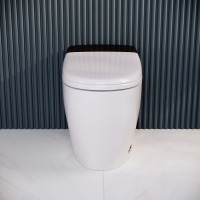 Умный унитаз RGW SW-30, электронный, импульсный, с функцией биде, смыв торнадо, напольный, белый, 63420130-01