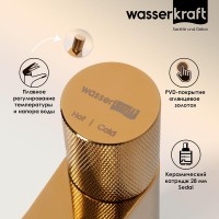 Смеситель для раковины WasserKRAFT Ems, золото глянцевое, 7603