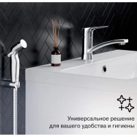 Смеситель для раковины Damixa Jupiter 770230001, с гигиеническим душем, хром