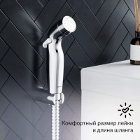 Смеситель для раковины Damixa Jupiter 770230001, с гигиеническим душем, хром