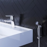 Смеситель для раковины Damixa Jupiter 770300001, с гигиеническим душем, хром