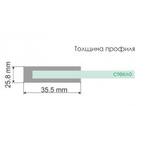 Душевая дверь в нишу WasserKRAFT Weser 78F12, 100 х 200 см, стекло прозрачное, профиль серебристый