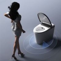 Умный унитаз RGW-SW-32 80420132-01, безободковый, смыв торнадо, сиденье микролифт, напольный, белый