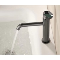 Смеситель Bronze de Luxe OMG, для раковины, цвет графит, 9009GM-G