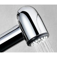 Гигиенический душ WasserKRAFT, А11057, со смесителем, хром