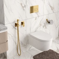 Гигиенический душ Wasserkraft Neckar A2151.280.238.216, со смесителем, PVD золото