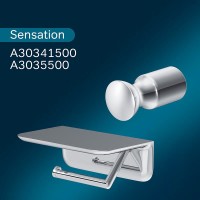 Ершик для туалета Am.Pm Sensation A3033300