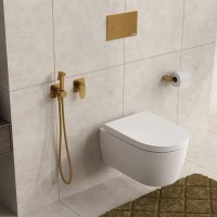 Гигиенический душ Wasserkraft Havel A3651.285.237.213, со смесителем, PVD золото матовое