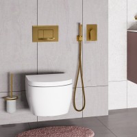 Гигиеничекий душ WasserKRAFT Aisch A5551.184.237.213, со смесителем, PVD золото матовое