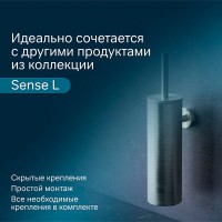 Ершик для унитаза Am.Pm Sense L A7433600, подвесной, нержавеющая сталь