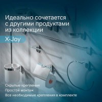 Ершик для унитаза Am.Pm X-Joy, держатель хром, A8433300