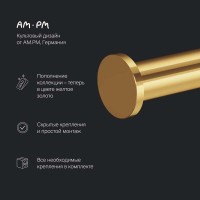 Держатель для туалетной бумаги Am.Pm X-Joy A85A34199, цвет золотой