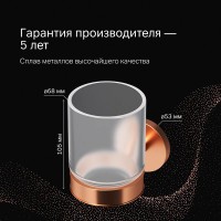 Стеклянный стакан Am.Pm X-Joy, A85A34344, с настенным держателем, цвет розовое золото