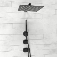 Душевая система WasserKRAFT Nuthe A9151.264.219.162.327.242.217, черная матовая