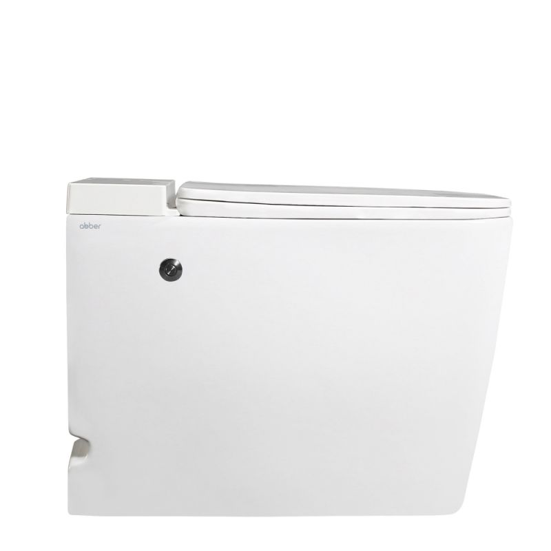 Унитаз ABBER Rechteck AC1212P приставной белый с импульсным смывом