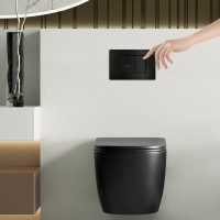 Клавиша смыва Abber AC0122SMB, сенсорно-механическая, черный матовый