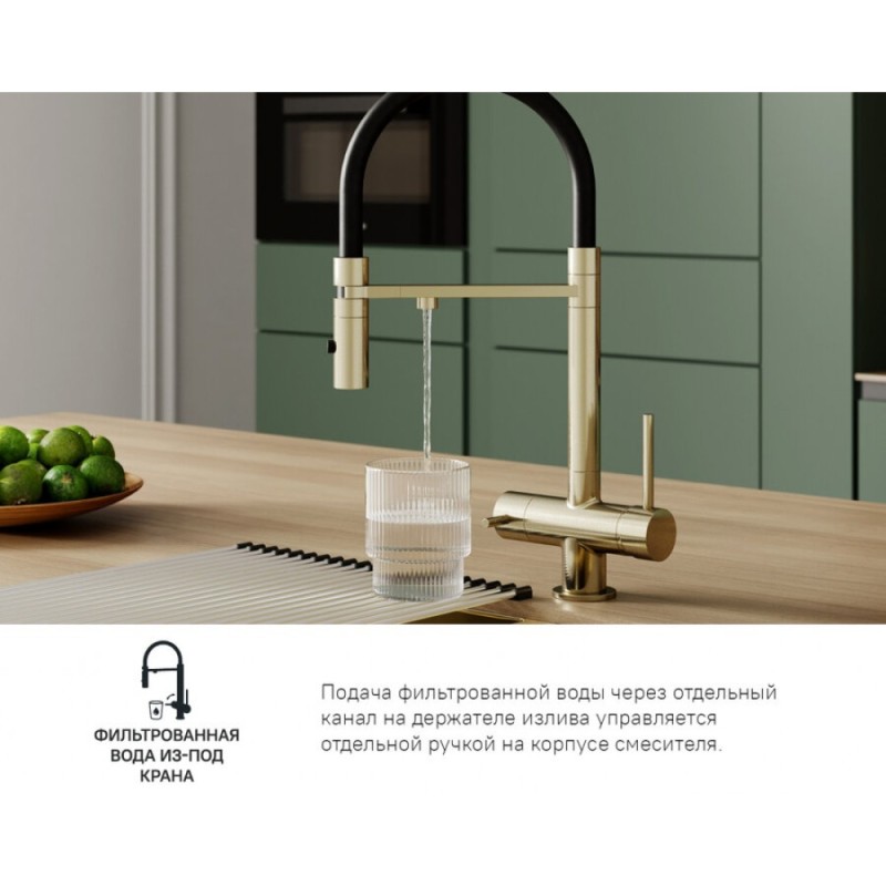 Смеситель Iddis Ace для кухонной мойки, излив гибкий, с подключением к фильтру, золото матовое, ACEMGFFi05