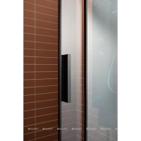 Душевая дверь в нишу Aquanet Pleasure, 160 х 200 см, стекло прозрачное, профиль черный матовый, AE60-N-160H200U-BT