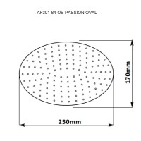 Верхний душ Aquanet Passion Oval AF301-84-OS, 18,5 х 26,5 см, 1 режим струи, без держателя, хром (242984)