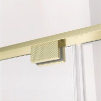 Душевая дверь Veconi Premium Alassio AL-130-00-G-C4, 130 см, стекло прозрачное, профиль золото брашированное