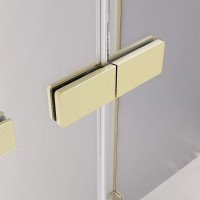 Душевая дверь Veconi Premium Alassio AL-140-00-G-C4, 140 см, стекло прозрачное, профиль золото брашированное