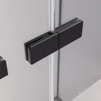 Душевая дверь Veconi Premium Alassio AL-140-11-BB-C4, 140 см, стекло тонированное черное, профиль черный матовый