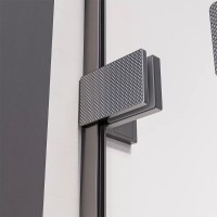 Душевая дверь Veconi Premium Alassio AL-150-00-GR-C4, 150 см, стекло прозрачное, профиль графит брашированный