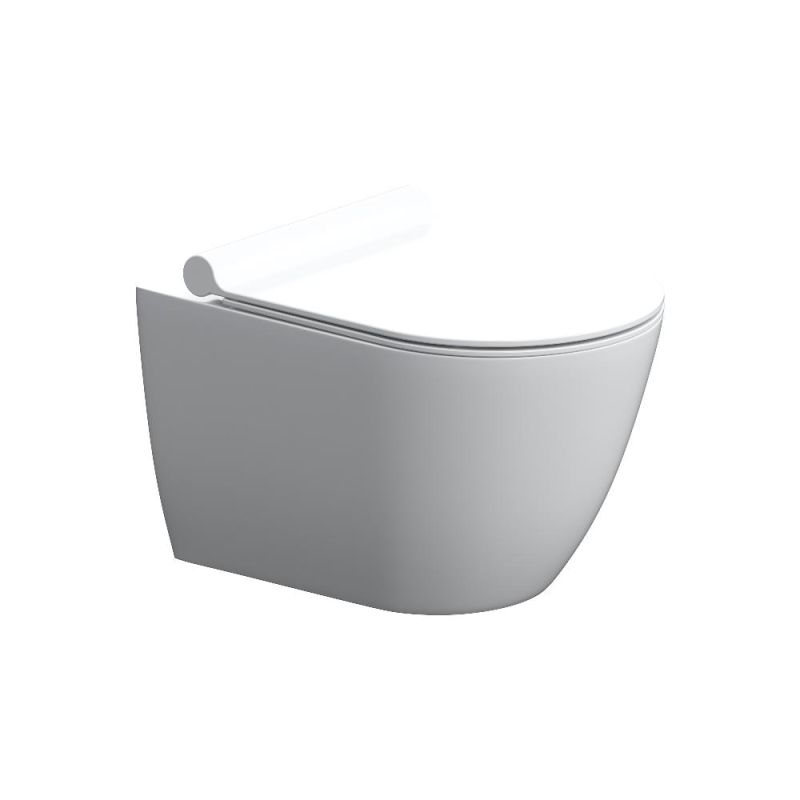 Унитаз Damixa Scandinavian Pure DX36C1701SC подвесной с сиденьем Микролифт