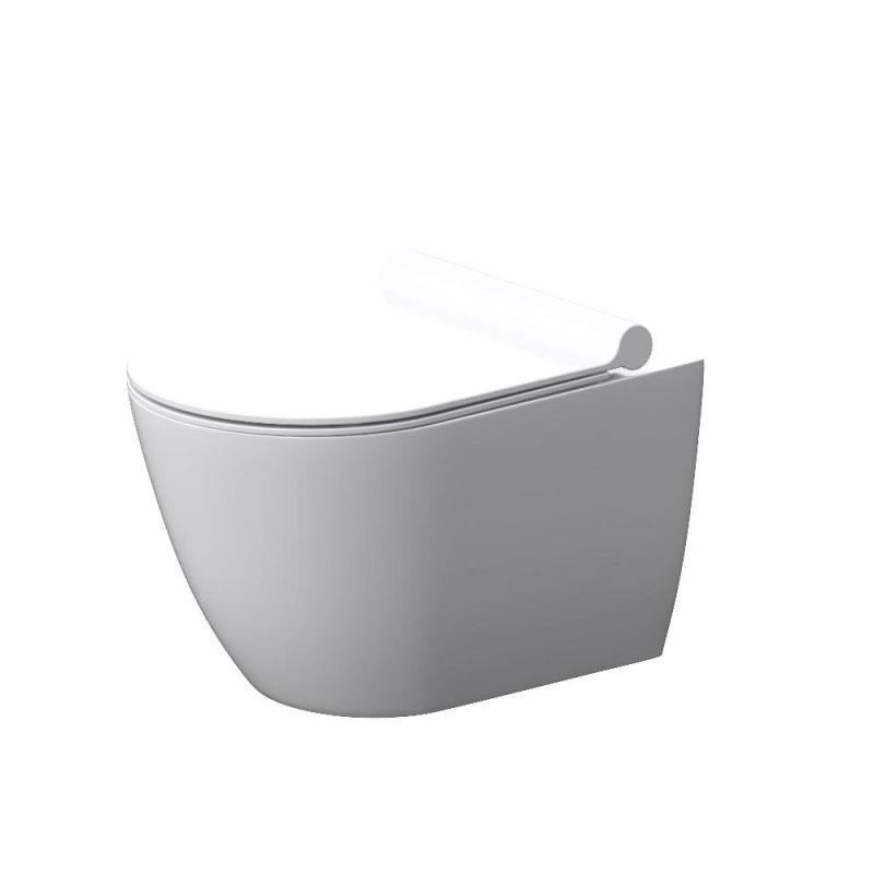 Унитаз Damixa Apollo DX22C1700SC подвесной с сиденьем Микролифт