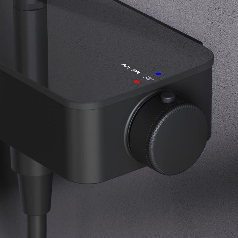 Душевая система AM.PM Inspire V2.0 F0750A522 с термостатом Черная матовая
