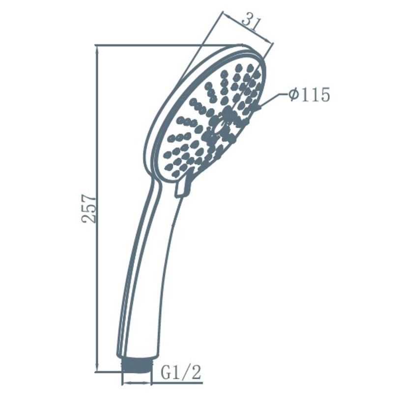 Душевая лейка AM.PM Spirit F0270064 Хром